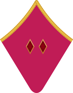 Archivo:Red Army 1935 collar big komdiv.png