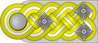 Archivo:SS Oberst-Gruppenführer h.png