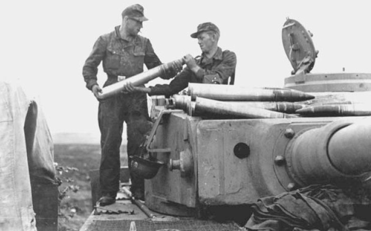 Archivo:Tiger anderson 28486486.jpg