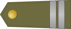 Archivo:KingdomRomania-Army-OF-1b.svg.png