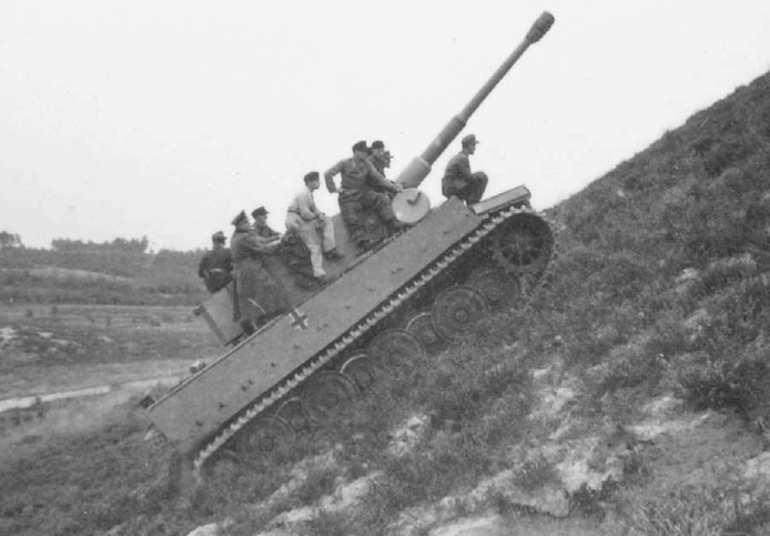 Archivo:TA-Tiger-84151568.jpg