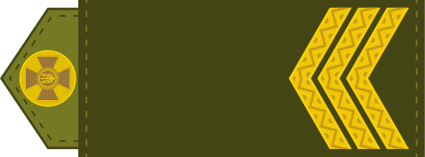 Archivo:177px-UA shoulder mark 04.svg.png