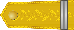 Archivo:KingdomRomania-Army-OF-6.svg.png