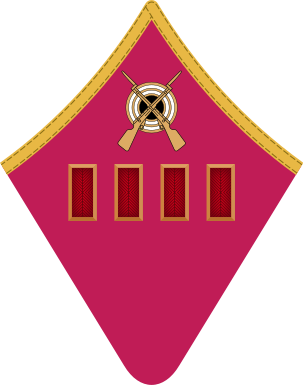 Archivo:RKKA 1940 collar big OF5 polkovnik.png