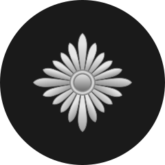 Archivo:Rank insignia of Oberschütze of the Waffen-SS.png