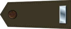 Archivo:US Army O2 (Army greens).svg.png
