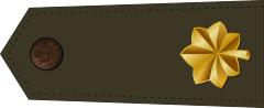 Archivo:US Army O4 (Army greens).svg.png