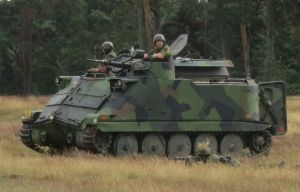 Pansarbandvagn 302 Revinge 2014-1.jpg