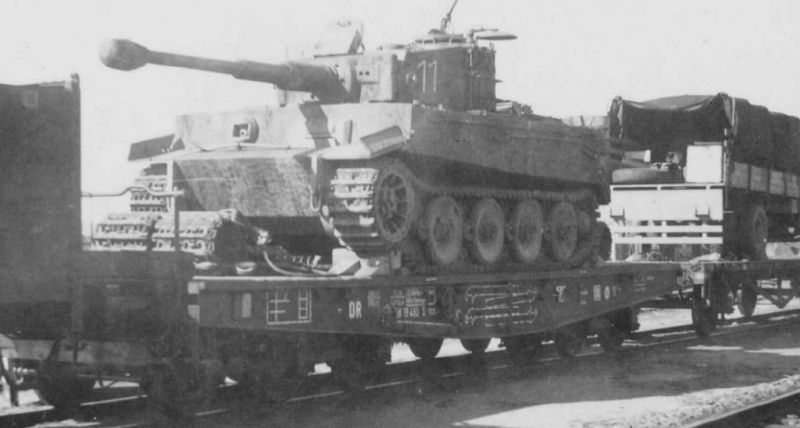 Archivo:Tiger anderson 426846842.jpg
