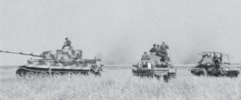 Archivo:TA-Tiger-04425814685273.jpg