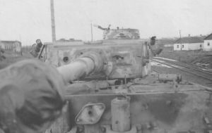 Tiger anderson 14145156.jpg