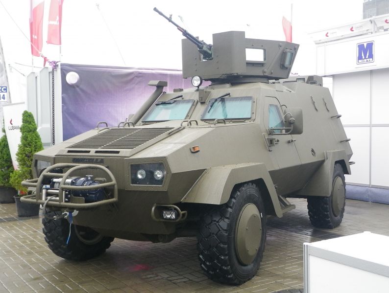 Archivo:Oncilla MSPO17 b1MGP3244 cr.jpg