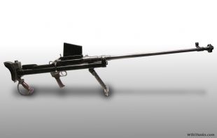 Boys rifle cropped.JPG
