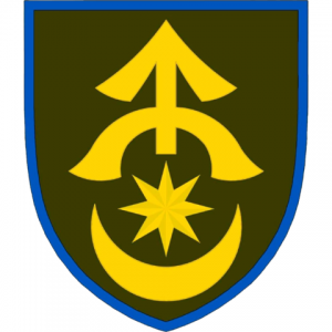 31st Separate Mechanized Brigade Insignia.webp.png