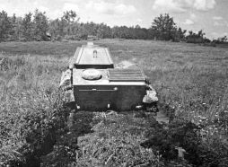 Las pruebas demostraron que los T-60 y T-70 se comportaban peor en zonas pantanosas que los tanques ligeros extranjeros.