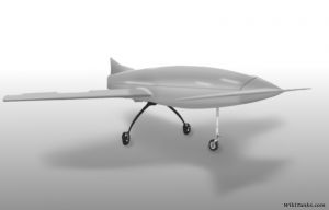 Bober-800x533.jpg