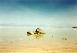 Un M4A2 Sherman abandonado en las aguas del atolón de Tarawa, lugar en el que se estrenó en combate el Sherman con el Cuerpo de Marines de los Estados Unidos en noviembre de 1943.