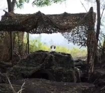Un 2S1 Gvozdika de la 67.ª Brigada Mecanizada disparando desde una posición camuflada.