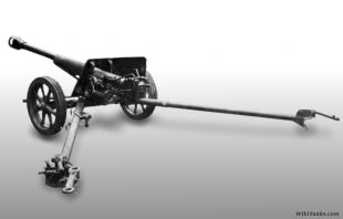8cm-paw-600-8h63 1.jpg