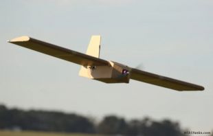 Corvo-PPDS-UAS.jpg