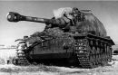 Dicker-max-snow.jpg
