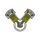 V.png