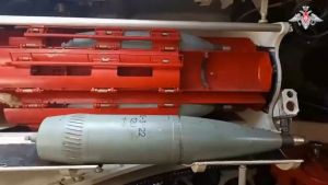 2S31 Vena 98765461.jpg