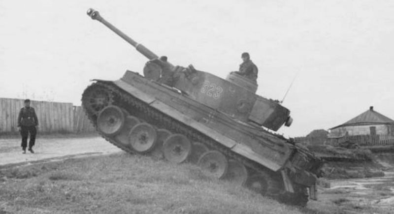 Archivo:TA-Tiger-239424234.jpg