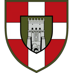 100th Mechanised Brigade Insignia.png