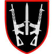 Insignia antigua de la 67.ª Brigada Mecanizada.