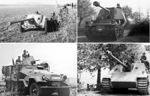 PaK-Collage.jpg