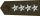 US Army O10 (Army greens).svg.png