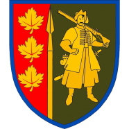 Insignia antigua de la 65.ª Brigada Mecanizada.