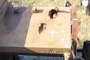 Img026.jpg