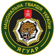 Insignia del 8.º Regimiento Operacional de la Guardia Nacional, activo desde 2014 hasta 2022.