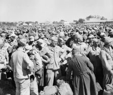 Prisioneros de guerra alemanes e italianos en el campo de Gromalia tras la derrota en Túnez. Mayo de 1943.