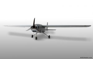 22-airborne 98.jpg